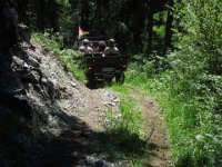 söll (105)